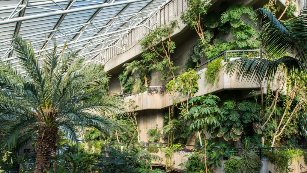 Lush indoor tropical garden with various plants and palms, underneath a geometric glass ceiling.