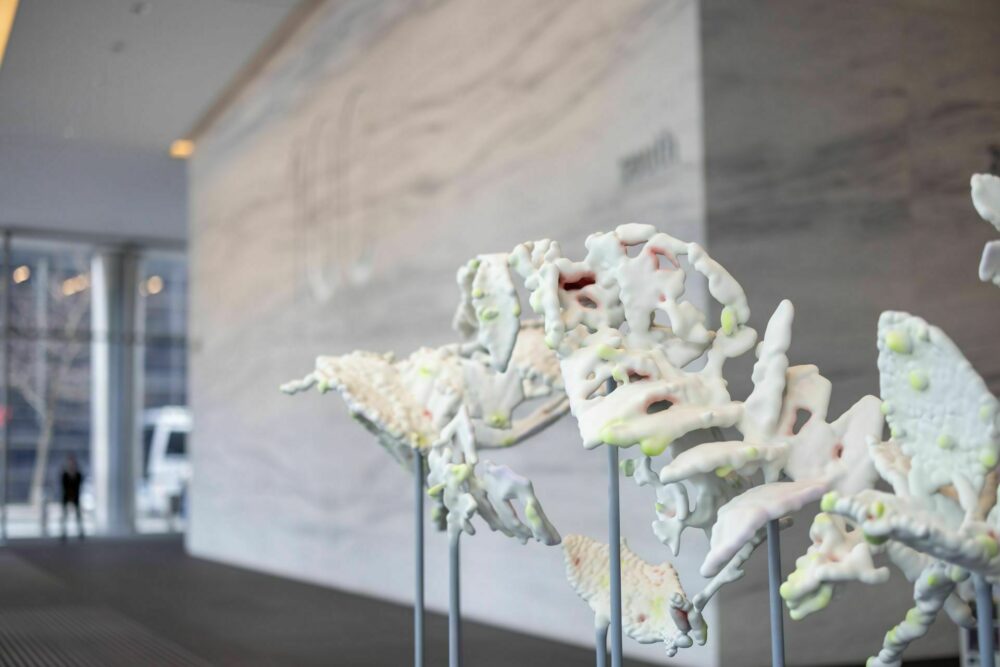 Glasshouse Stories – an installation by artist Claudia Fontes