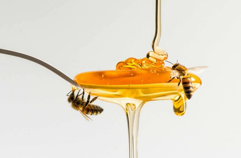 Honey at Dusk: a Bank of England Museum late