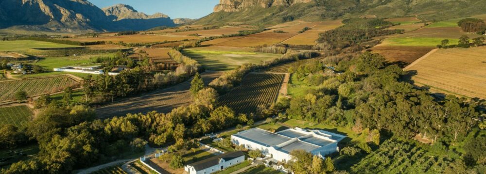 Humble Grape Smithfield’s South Africa Winemaker Tasting