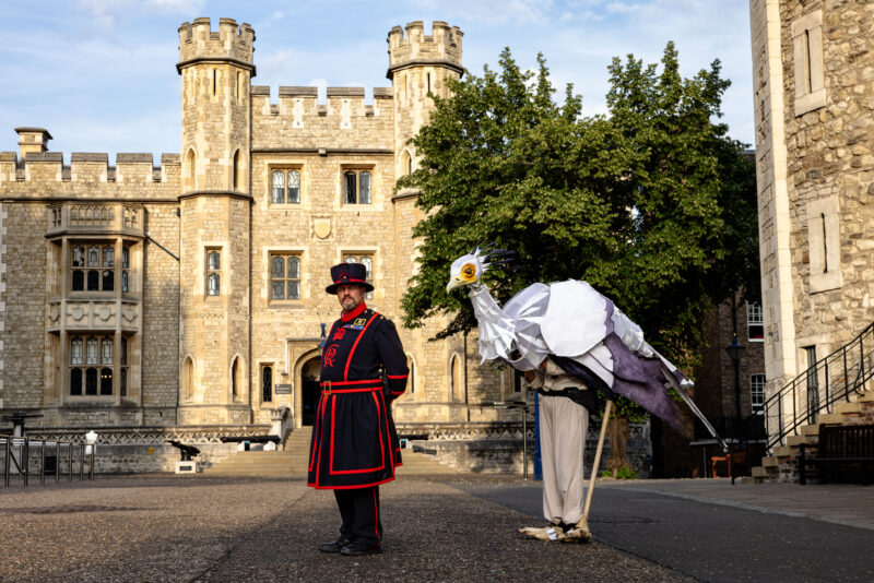 Imagining Animals at the Tower of London